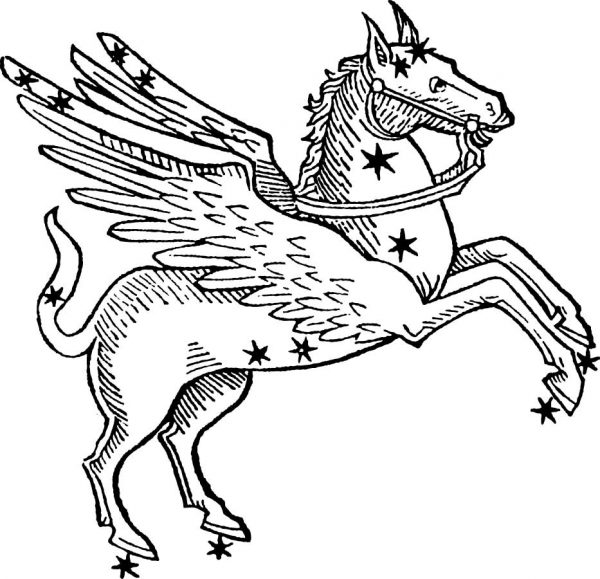 Pegasus Stempel